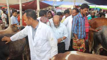 Veterinary doctors.jpg