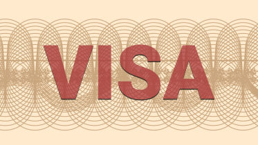 visa3.png