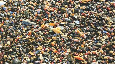 Voices from a small town