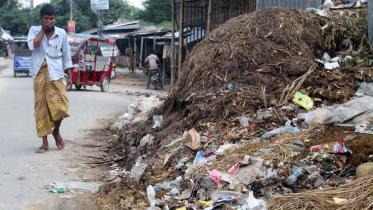 Wastes of sacrificial animals.jpg