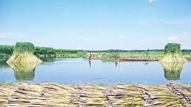 water management.jpg