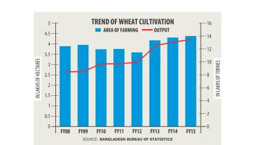 wheat cultivation.jpg