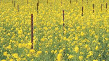 Where are you taking me