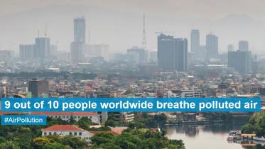 World Health Organization (WHO)