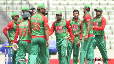 Wicket for Tigers.jpg