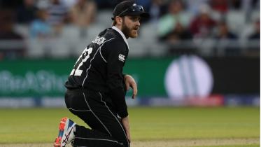 Williamson.jpg