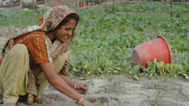 Women farmers better.jpg