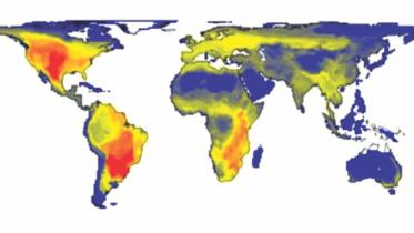World without Humans
