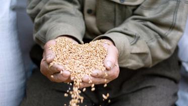 zakatul fitr new.jpg