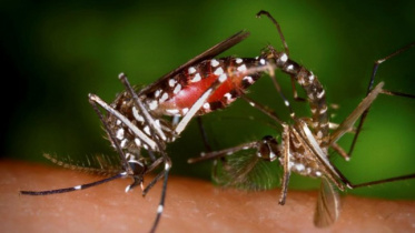 zika-reuters-wb_2.jpg