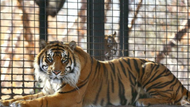 Zoo-1.jpg