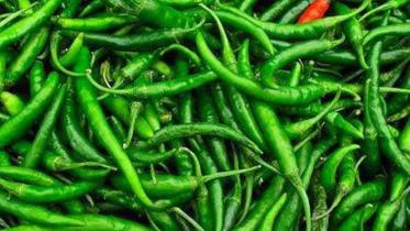 green-chilli-500x500.jpg