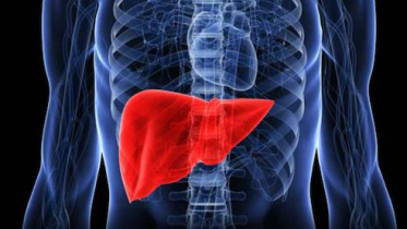 liver-final.jpg