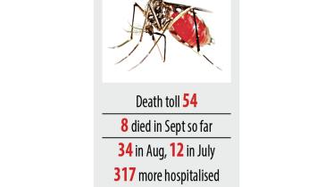 dengue-cases.jpg