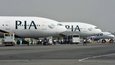 pia.jpg