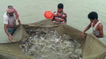 mymensingh-fish-farmers.jpg