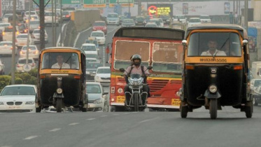 india_horn.jpg