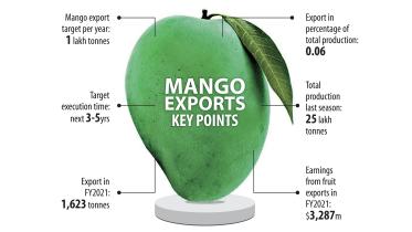 final_mango-01.jpg
