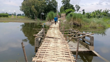 bamboo-bridge.jpg