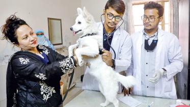 central-veterinary-hospital-dhaka-1.jpg
