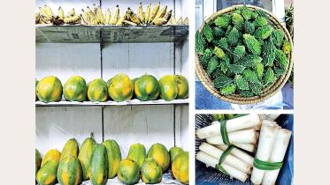 veg.jpg