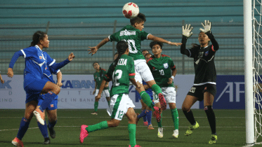 saff-u-19-championship.gif