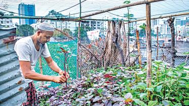 horticulture.jpg