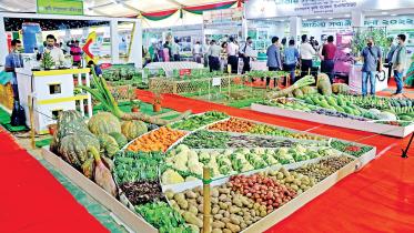 national-vegetable-fair-2022.jpg