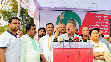 bnp-web.jpg