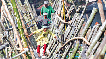 bamboo-bridge.jpg