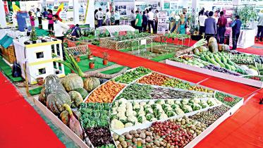 vegetable-fair-1.jpg