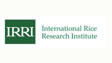 irri-logo-b3.jpg