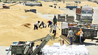 wholesale-grain-market-1.jpg