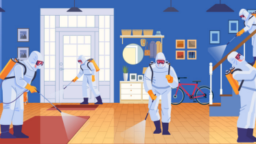 Pest control: how to deal with cockroaches and other vermin.png