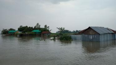 sirajganj_flood_photo-4.jpg