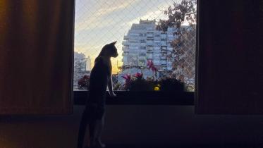 15 years of iPhone: Evolution in photography