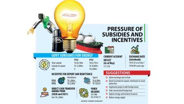 Austerity steps okay but more belt-tightening needed: Experts