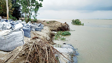 sirajganj-erosion.jpg