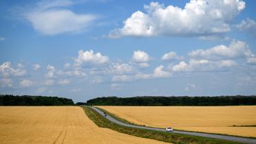 Wheat prices rise in global market