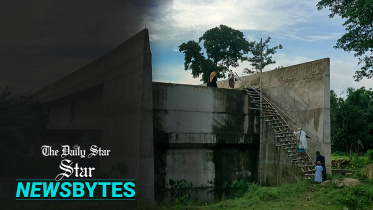 50ft bamboo stairs being used to climb Tk 99cr bridge project