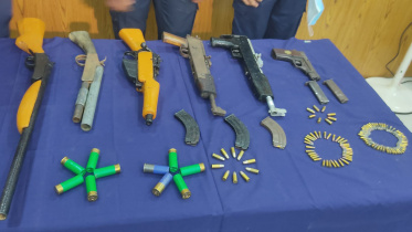firearms-web.jpg