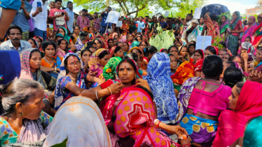 Tea workers daily wage