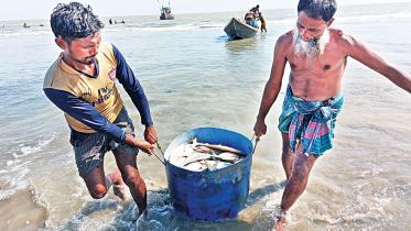 Marine fishing industry