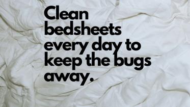 clean_bedsheets_everyday_to_keep_the_bugs_away_.jpg