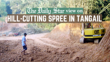 hill-cutting_spree_in_tangail.png