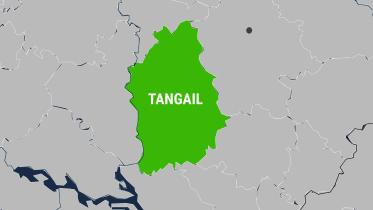 tangail.jpg