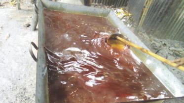 adulterated molasses