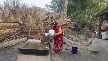 Nipa palm molasses, a little-known sweet with immense potential 