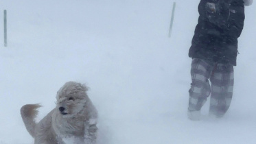 blizzard