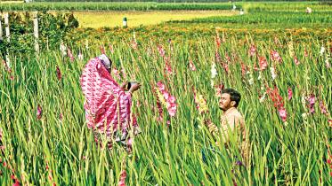 flower-farmers-in-gadkhali.jpg